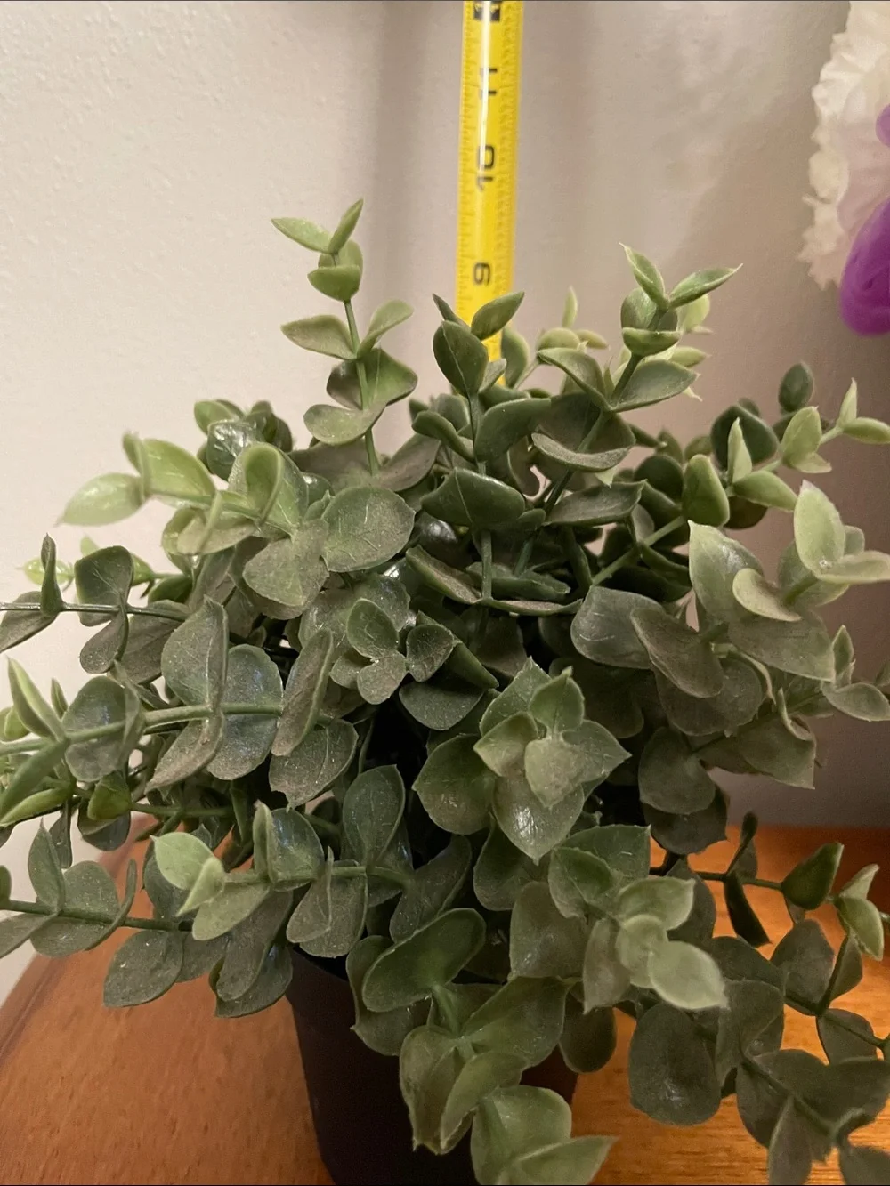 IKEA Artificial Faux Eucalyptus Potted Plant